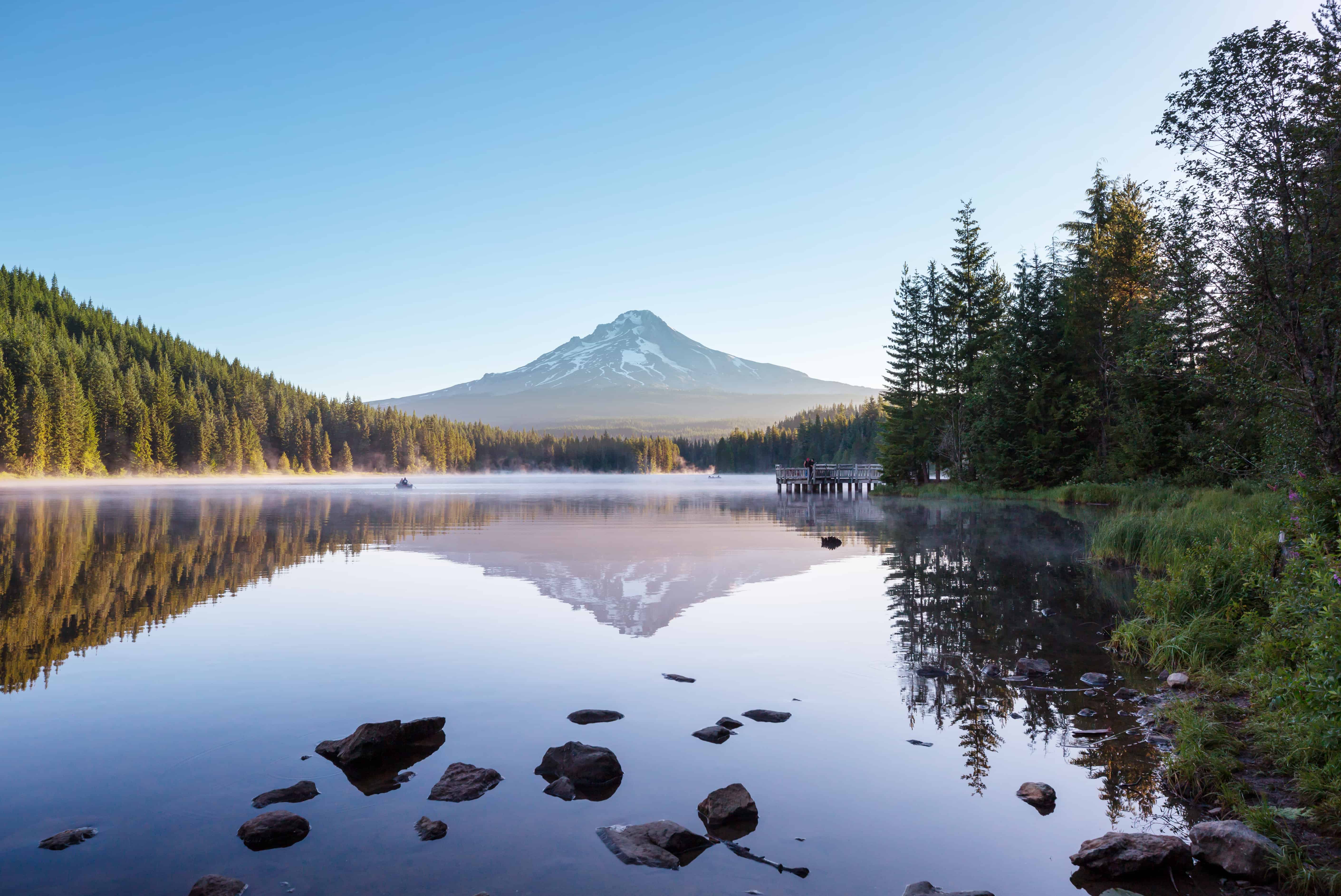 Professional Advisory